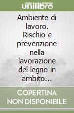 Ambiente di lavoro. Rischio e prevenzione nella lavorazione del legno in ambito artigianale e piccolo/medio aziendale