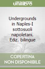 Undergrounds in Naples-I sottosuoli napoletani. Ediz. bilingue libro