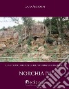 Norchia IV libro