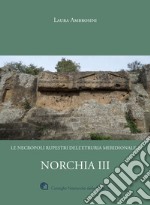 Norchia. Vol. 3: Le necropoli rupestri dell'Etruria meridionale 4 libro