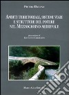 Ambiti territoriali, sistemi viari e strutture del potere nel Mezzogiorno medievale libro