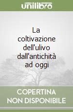 La coltivazione dell'ulivo dall'antichità ad oggi