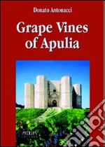 Grape vines of Apuleia