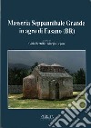 Masseria Seppannibale Grande in Agro di Fasano (Br). Indagini in un sito rurale (aa. 2003-2006) libro
