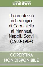 Il complesso archeologico di Carminiello ai Mannesi, Napoli. Scavi (1983-1984) libro