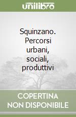 Squinzano. Percorsi urbani, sociali, produttivi libro