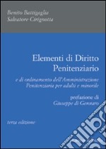 Elementi di diritto penitenziario libro