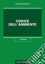 Codice dell'ambiente libro