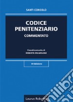 Codice penitenziario commentato