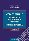 Codice penale, codice di procedura penale, norme speciali libro