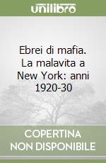 Ebrei di mafia. La malavita a New York: anni 1920-30