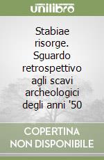 Stabiae risorge. Sguardo retrospettivo agli scavi archeologici degli anni '50 libro