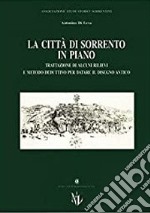 La città di Sorrento in piano. Trattazione di alcuni rilievi e metodo deduttivo per datare il disegno antico libro