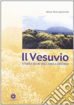 Il Vesuvio. Storia di un vulcano a rischio libro