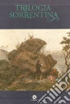 La gestione dell'assistenza e della beneficenza pubblica nell'Italia liberale: la Congregazione di carità di Sorrento 1862-1910 libro