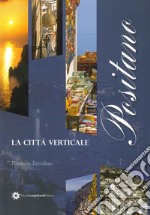 Storia postale prefilatelica del distretto di Castellammare di Stabia e dei circondari di Napoli libro