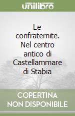 Le confraternite. Nel centro antico di Castellammare di Stabia libro