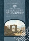 Studio sulle provenienze degli oggetti rinvenuti negli scavi borbonici del regno di Napoli libro