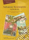 Dalvatore Sentimento. Il figlio del prete libro