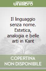 Il linguaggio senza nome. Estetica, analogia e belle arti in Kant