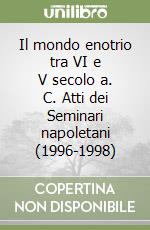 Il mondo enotrio tra VI e V secolo a. C. Atti dei Seminari napoletani (1996-1998)