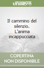 Il cammino del silenzio. L'anima incappucciata (3) libro