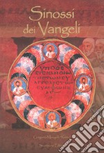 Sinossi dei Vangeli libro