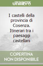 I castelli della provincia di Cosenza. Itinerari tra i paesaggi castellani libro