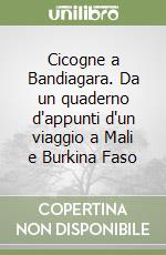 Cicogne a Bandiagara. Da un quaderno d'appunti d'un viaggio a Mali e Burkina Faso