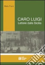 Caro Luigi. Lettere dalla Sicilia libro