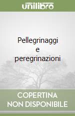 Pellegrinaggi e peregrinazioni