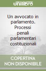 Un avvocato in parlamento. Processi penali parlamentari costituzionali libro