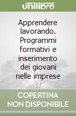 Apprendere lavorando. Programmi formativi e inserimento dei giovani nelle imprese libro