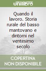 Quando il lavoro. Storia rurale del basso mantovano e dintorni nel ventesimo secolo libro