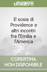 Il sosia di Providence e altri incontri fra l'Emilia e l'America libro