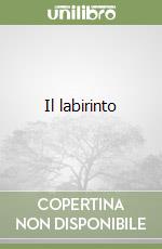 Il labirinto libro