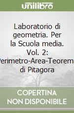 Laboratorio di geometria. Per la Scuola media. Vol. 2: Perimetro-Area-Teorema di Pitagora libro