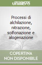 Processi di alchilazione, nitrazione, solfonazione e alogenazione libro