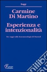 Esperienza e intenzionalità. Tre saggi sulla fenomenologia di Husserl libro