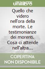 Quello che videro nell'ora della morte. Le testimonianze dei morenti. Cosa ci attende nell'altra vita libro