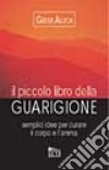 Il piccolo libro della guarigione libro