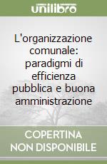 L'organizzazione comunale: paradigmi di efficienza pubblica e buona amministrazione