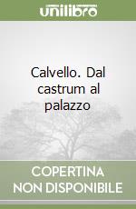 Calvello. Dal castrum al palazzo