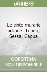 Le cinte murarie urbane. Teano, Sessa, Capua libro