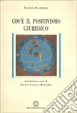 Cos'è il positivismo giuridico libro