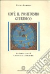 Cos'è il positivismo giuridico libro di Scarpelli Uberto Catania A. (cur.) Jori M. (cur.)