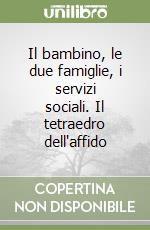 Il bambino, le due famiglie, i servizi sociali. Il tetraedro dell'affido libro