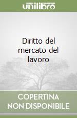 Diritto del mercato del lavoro libro