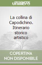 La collina di Capodichino. Itinerario storico artistico libro