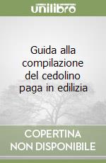 Guida alla compilazione del cedolino paga in edilizia libro
